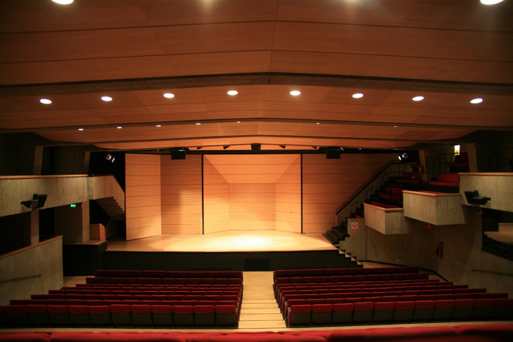 Auditorium: la sala interna