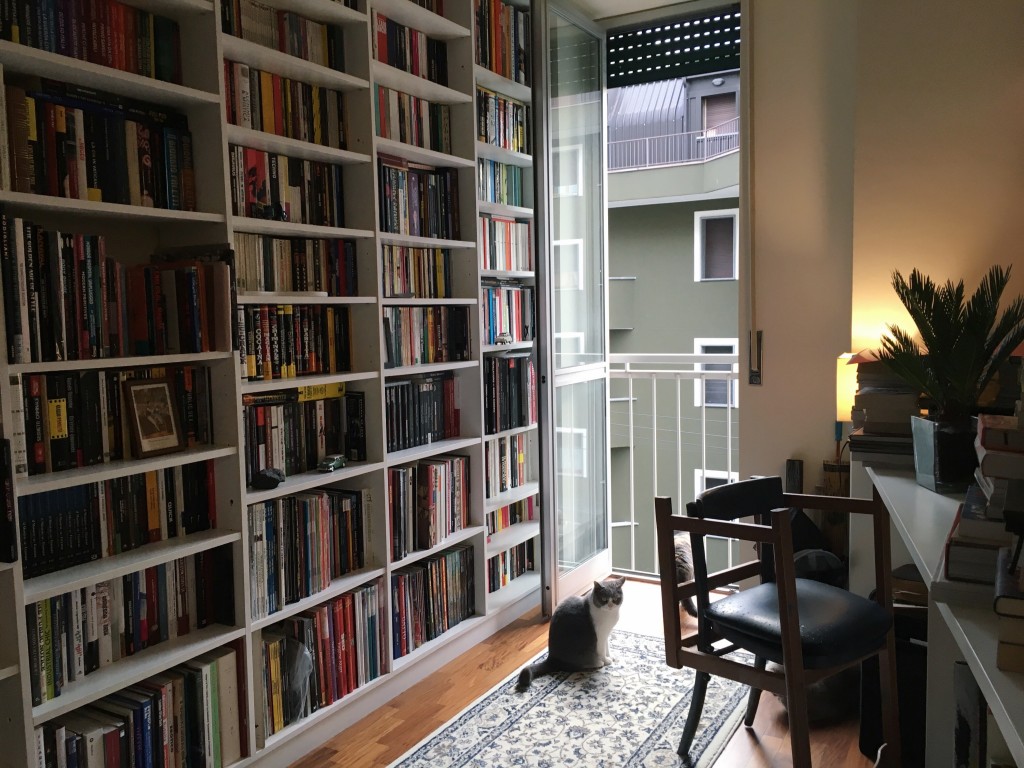 Una parete di libri di casa di Albert e un'altra gatta 