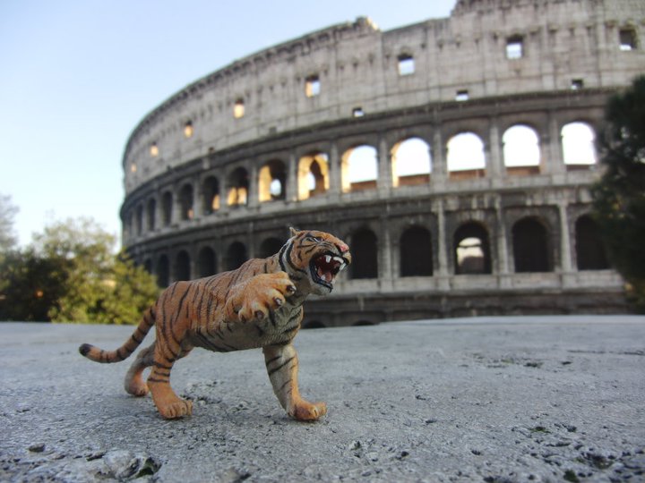 L'animale guida di Tiger & Woods in posa al Colosseo.