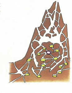 Carte Mutaforma: Case delle formiche