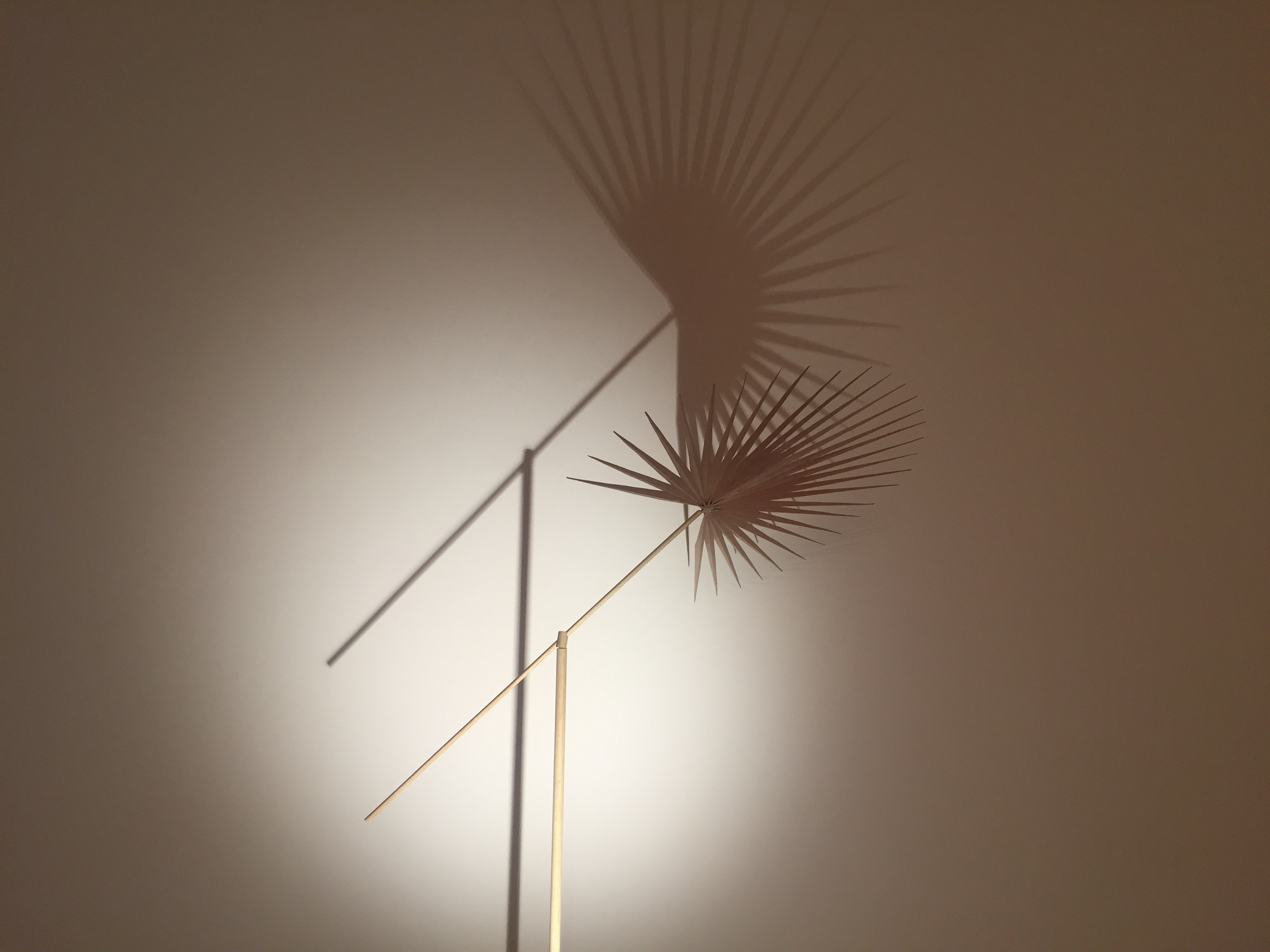 The Sun or an Electric Light (2017) legno, gelatine, luci, dimensioni variabili 