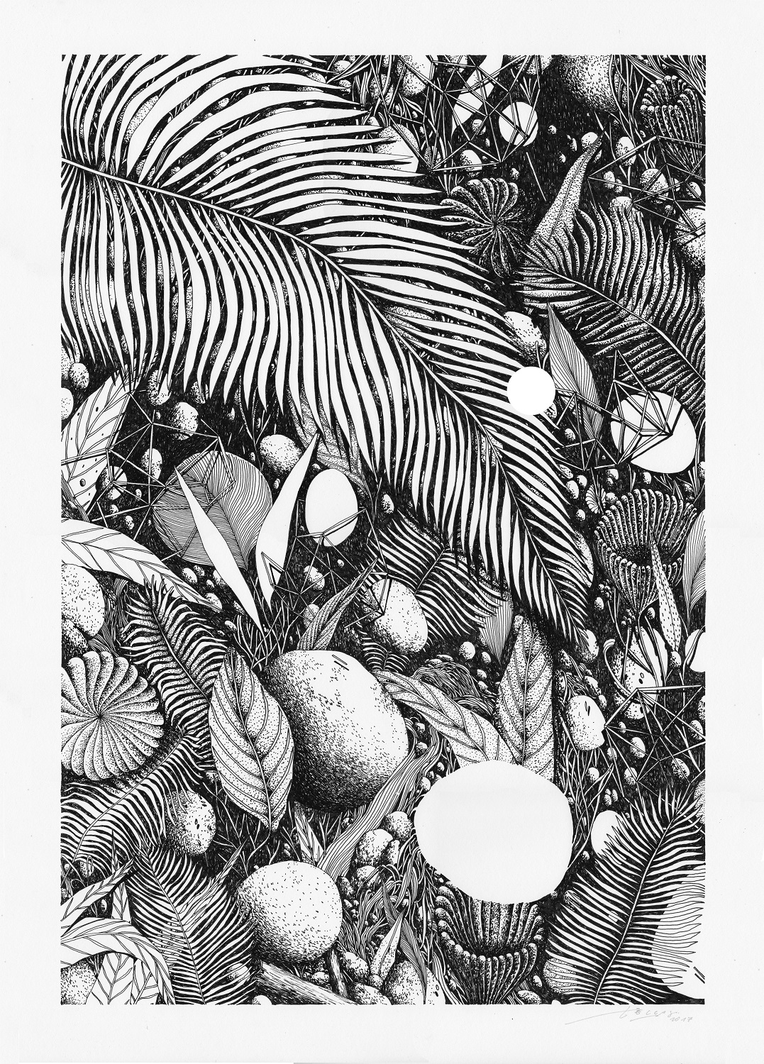 MAGMA gallery_Tellas_Tropico 6 -ink on paper 50x70 cm