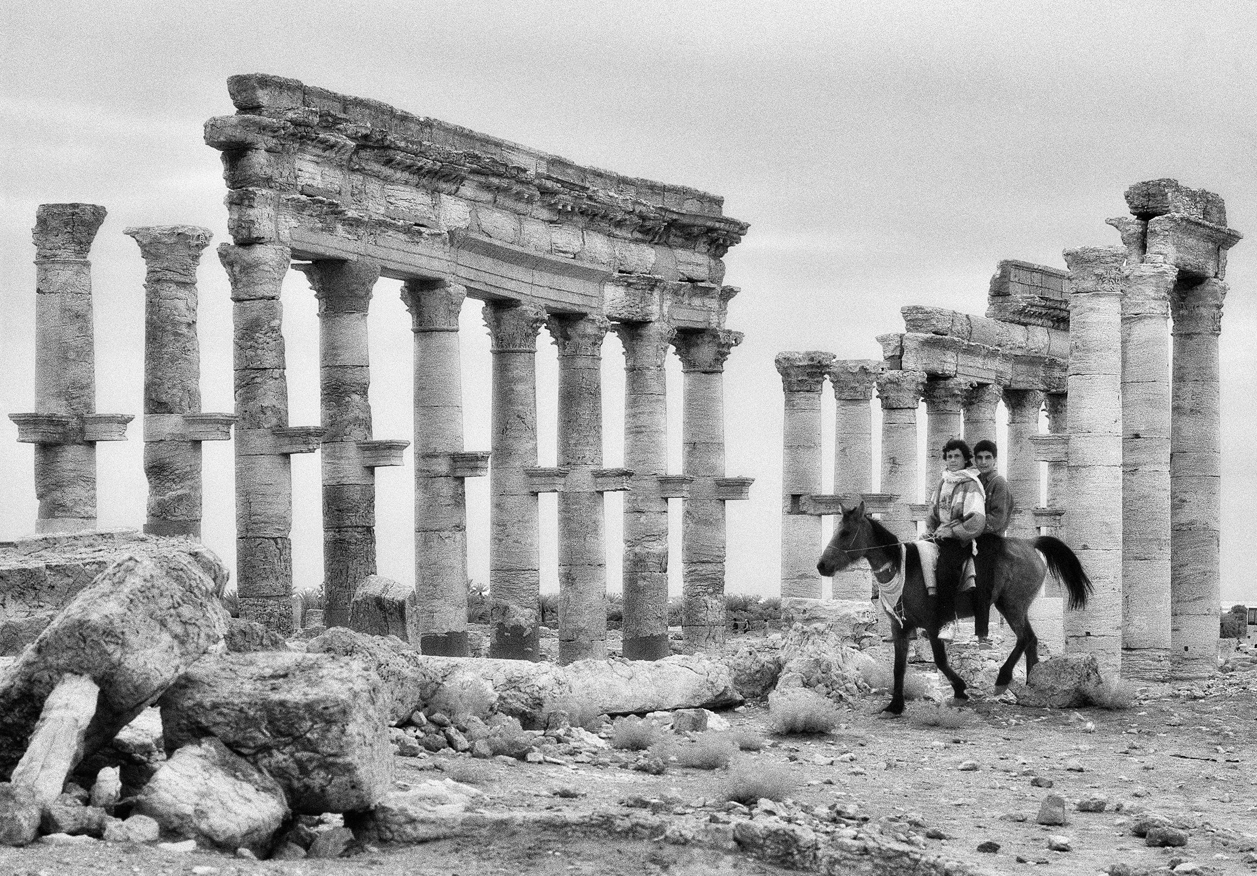 Palmira, La Via Colonnata (1996), ElioCiol©